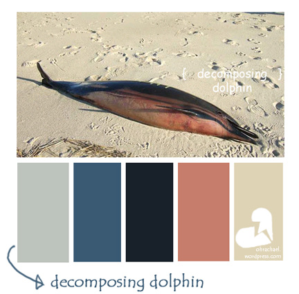 Decomposing Dolphin consists of a grayblue ombre with a coral highlight and